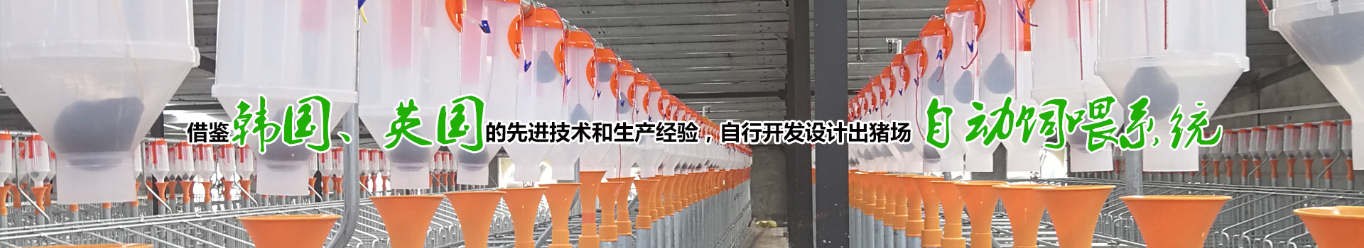 产品展示